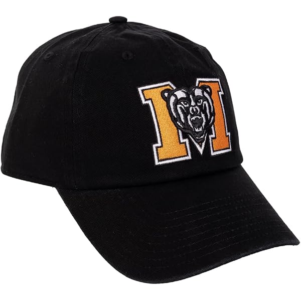 Amazon.com: Desert Cactus Colorado School of Mines Baseball Hat